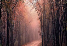 欧联-齐尔克泽破门B费送点 曼联客场1-1战平皇家社会.