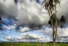 中国足协上线球员自荐系统.