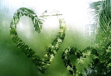 欧联-齐尔克泽破门B费送点 曼联客场1-1战平皇家社会.