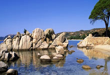 开云体育：摩根叒称赞C罗：40岁了还如此渴望胜利，没有球员能做到GOAT这样.